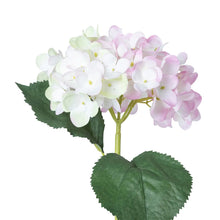 Load image into Gallery viewer, Garden Hydrangea Stem, Pink