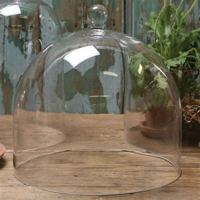 Glass Dome Clear (Large)