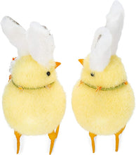 Load image into Gallery viewer, Bunny Chick