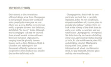 Load image into Gallery viewer, The Little Book of Champagne