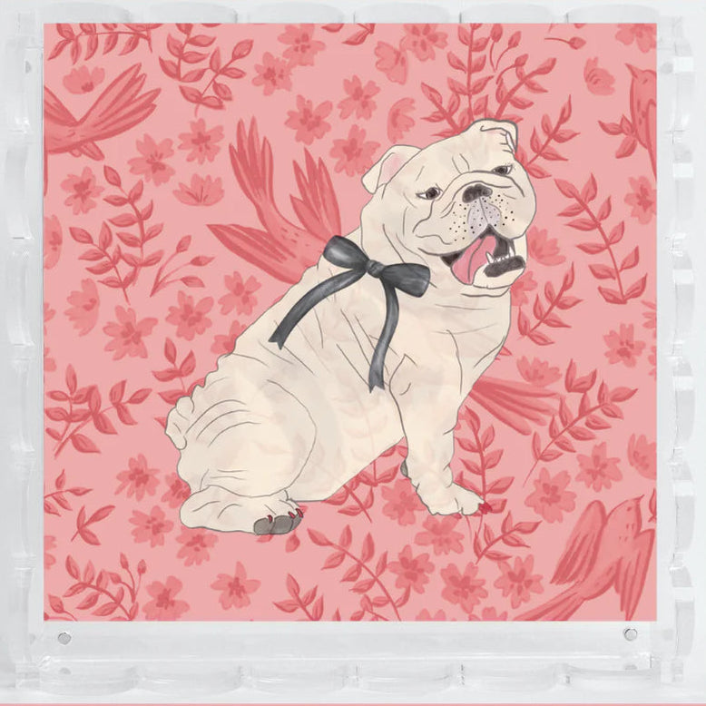 Illustration of a bulldog on a floral patterned background with 'Sorority Sisterhood' branding.