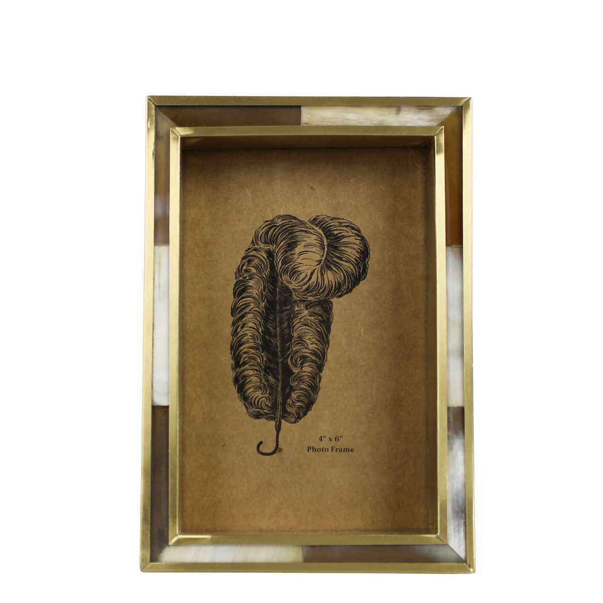 White Horn + Brass Frame