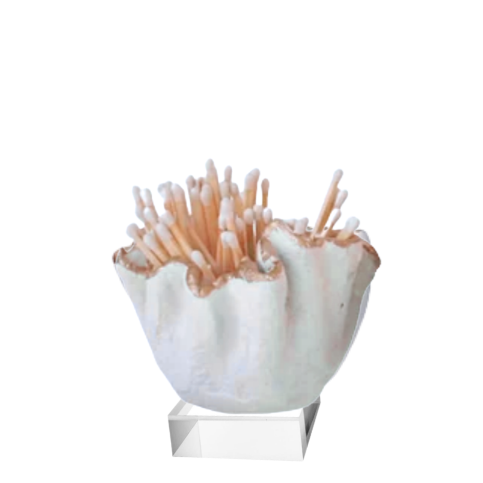The Match Combo | Ruffle Cement Bowls