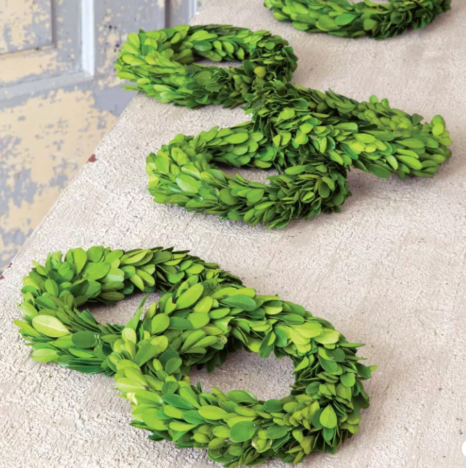 Mini Preserved Boxwood Wreath