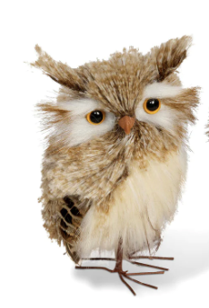 Feathered Horned Owl
