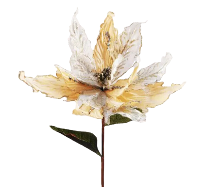 Poinsettia Stems