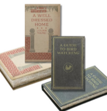 Load image into Gallery viewer, Storybook Storage Boxes Set of 2