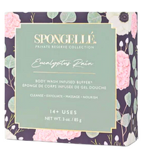 Load image into Gallery viewer, Spongellé Private Reserve Eucalyptus Rain