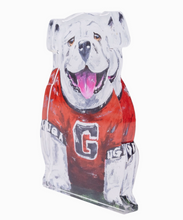 Load image into Gallery viewer, Acrylic Uga Shelfie