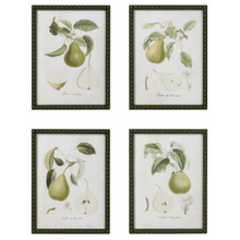 Load image into Gallery viewer, Vintage Orchard Framed Pear Wall Art