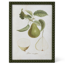 Load image into Gallery viewer, Vintage Orchard Framed Pear Wall Art
