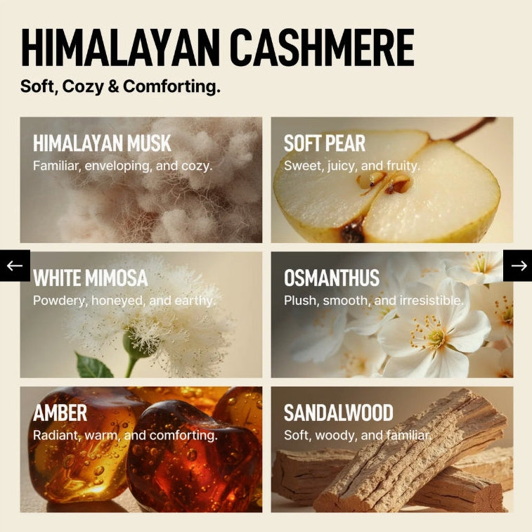 A fragrance scent guide for Himalayan Cashmere, showing six scent notes in a 2x3 grid: Himalayan Musk, Soft Pear, White Mimosa, Osmanthus, Amber, and Sandalwood, with text descriptions and small scent arrows on a beige background.