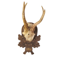 Load image into Gallery viewer, Reproduction Antler Trophy