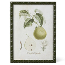Load image into Gallery viewer, Vintage Orchard Framed Pear Wall Art