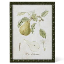 Load image into Gallery viewer, Vintage Orchard Framed Pear Wall Art