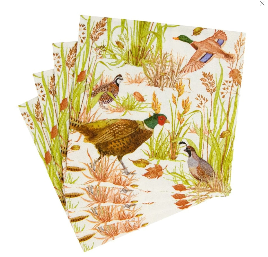 Caspari Birds Of A Feather Cocktail Napkins