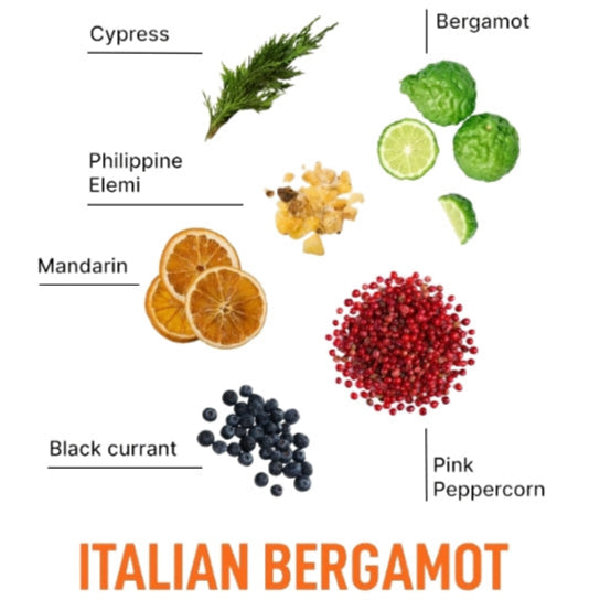 Laundry Sauce Fabric Refresher Italian Bergamot