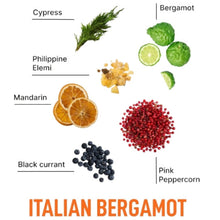 Load image into Gallery viewer, Laundry Sauce Fabric Refresher Italian Bergamot