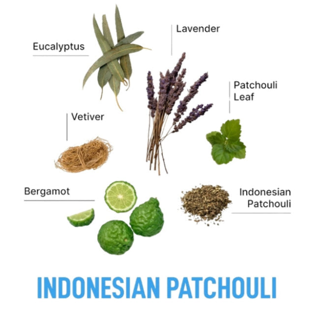 Laundry Sauce Dryer Sheets Indonesian Patchouli
