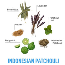Load image into Gallery viewer, Laundry Sauce In-Wash Scent Booster Indonesian Patchouli