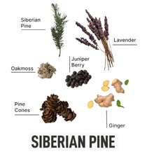 Load image into Gallery viewer, Laundry Sauce Laundry Detergent Pods Siberian Pine