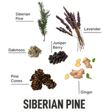 Load image into Gallery viewer, Laundry Sauce Fabric Refresher Siberian Pine