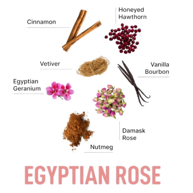 Laundry Sauce Dryer Sheets Egyptian Rose
