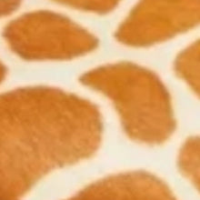 Load image into Gallery viewer, The Mabrey Calf Hair Mule