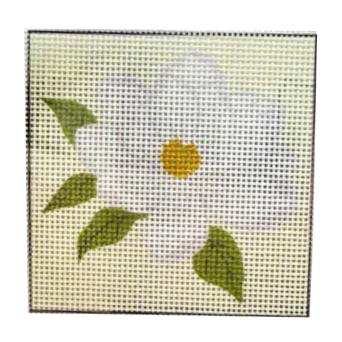 Magnolia Needlepoint Kit