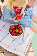 Load image into Gallery viewer, Blanket: Americana Plaid