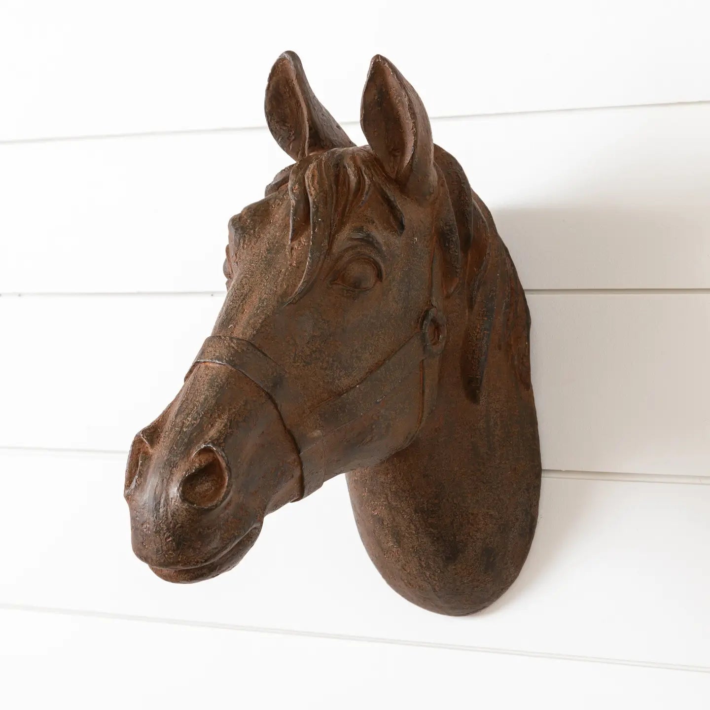 Horse Head