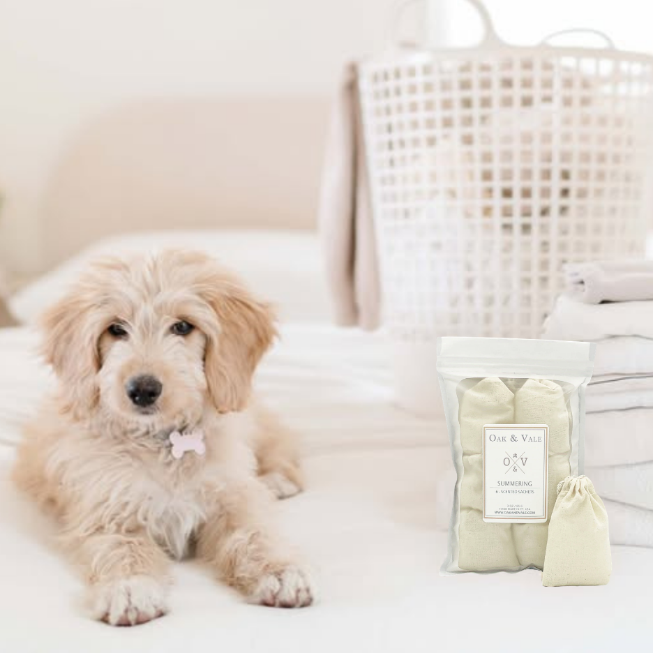 A small fluffy light beige dog lies on a white bed next to a packaged laundry accessory set, including a white woven laundry bag and folded white towels, against a bright white background.