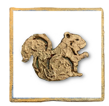 Load image into Gallery viewer, Sorority Emblem Canvas