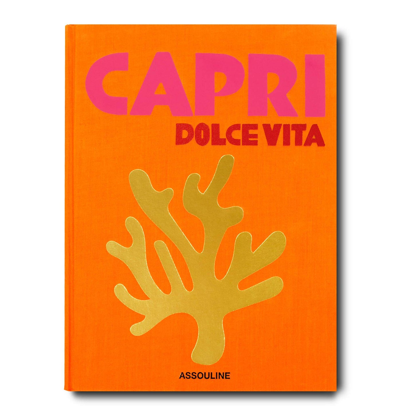 Assouline Travel Books