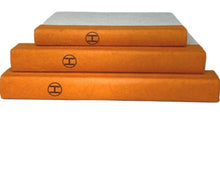Load image into Gallery viewer, Decorative Books: Orange H Stack