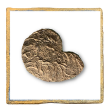 Load image into Gallery viewer, Sorority Emblem Canvas