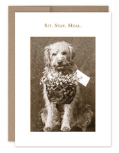 Load image into Gallery viewer, Shannon Martin Greeting Cards