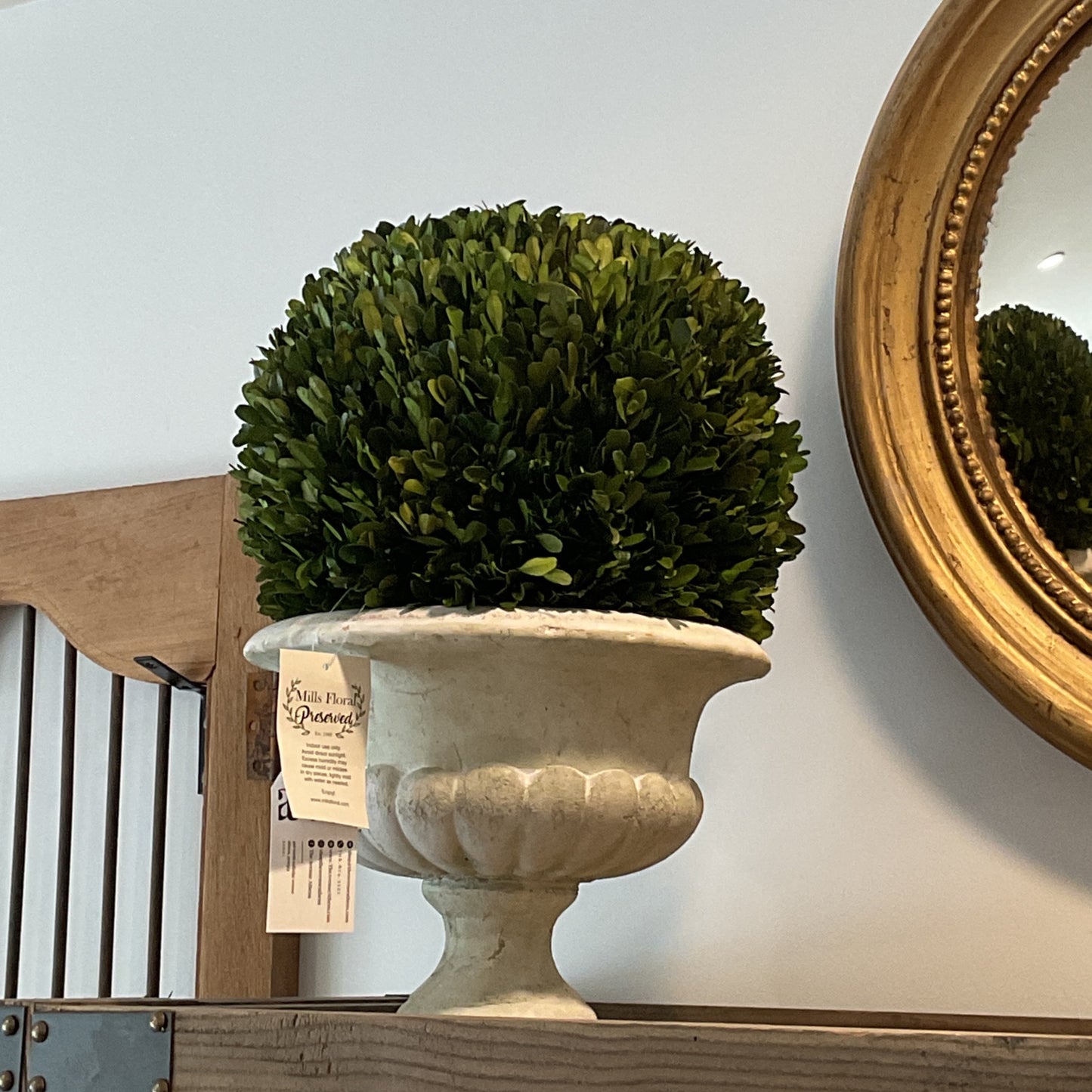 Boxwood Ball in Footed Urn
