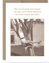 Load image into Gallery viewer, Shannon Martin Greeting Cards