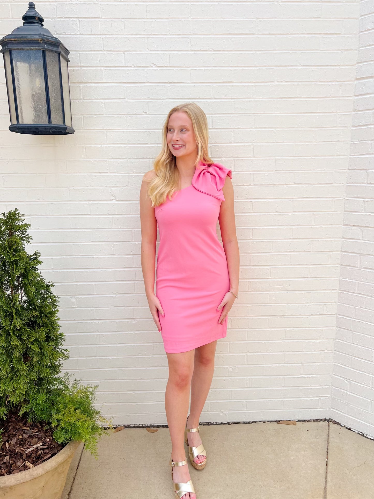 Pink Shea Dress