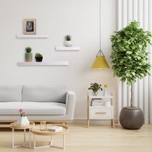 Load image into Gallery viewer, Kiera Grace Maine Floating Shelves Pack of 3
