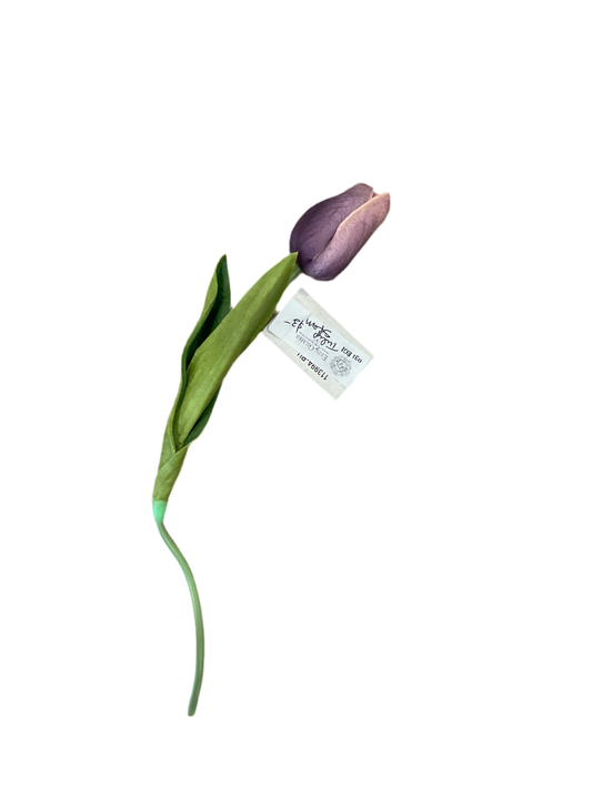 Tulip Stem