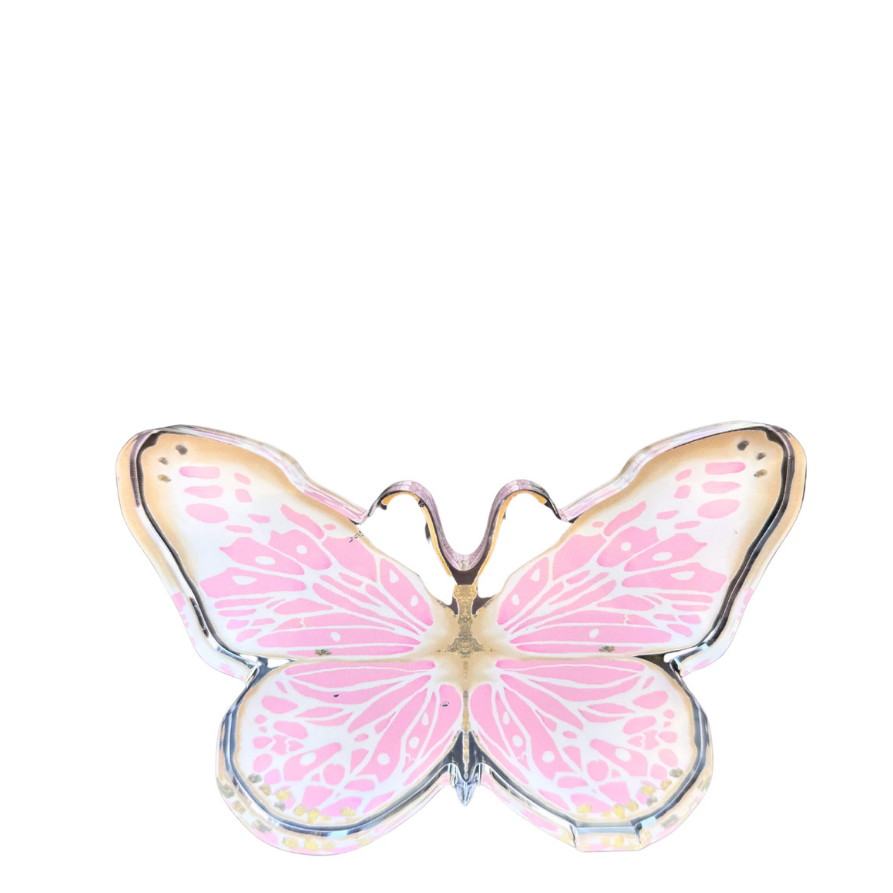 Pink Butterfly Acrylic Shelfie