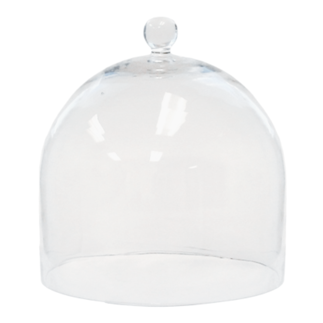 Glass Dome Clear (Large)