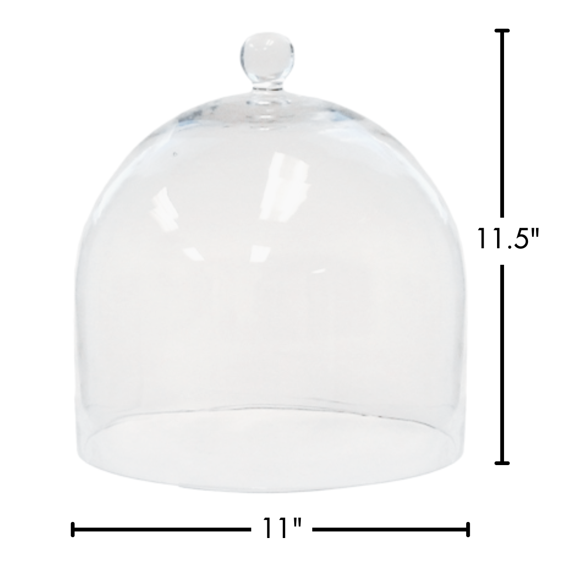 Glass Dome Clear (Large)