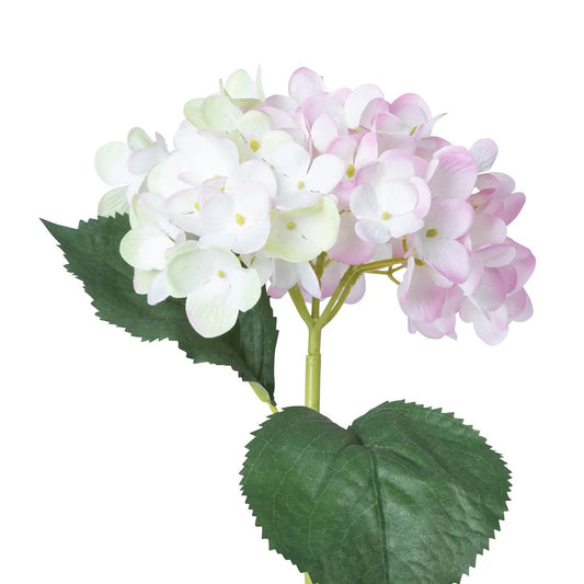 Garden Hydrangea Stem, Pink
