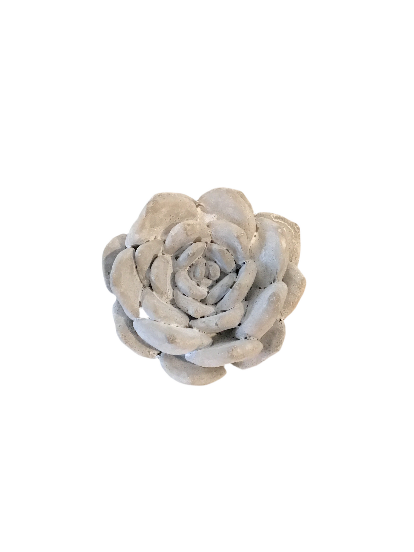Cement Succulent