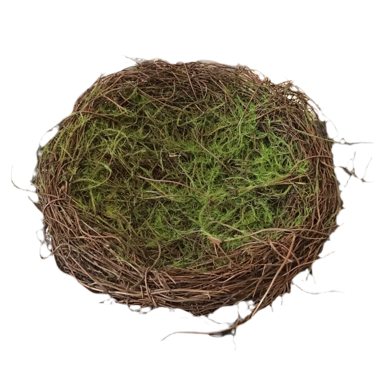 Twig Nest