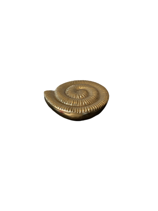 Shell Treasure Box