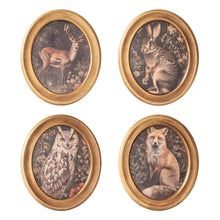 Load image into Gallery viewer, Forest Animal Framed Art
